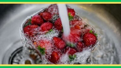 Como Limpar Frutas e Vegetais